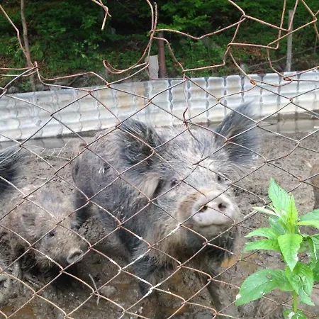 Tsisarske Urochyshe *